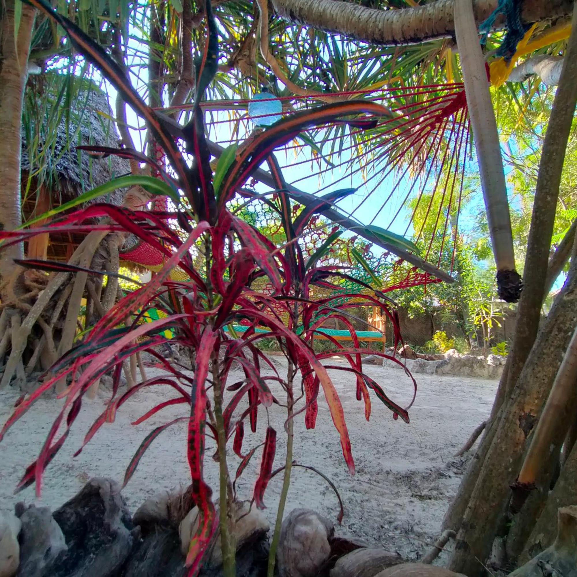 Eden Paradise Michamvi Kae Exterior photo